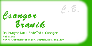 csongor branik business card